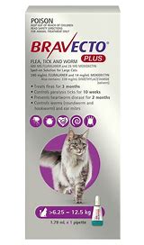 Bravecto Plus Spot on Large Cat 6.25-12.5kg [Sz:1pk Cl:Purple]