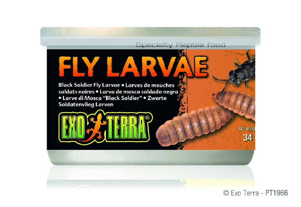 Exo Terra Canned Black Soilder Fly Larvae