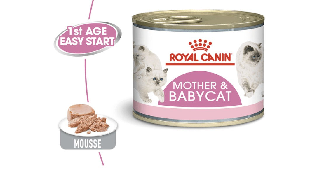 Royal Canin Mother And Baby Cat Wet Food Cans