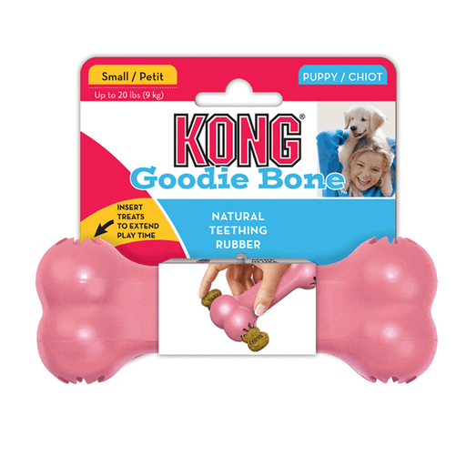 Kong Puppy Goodie Bone [Sz:Small Cl:Assorted]