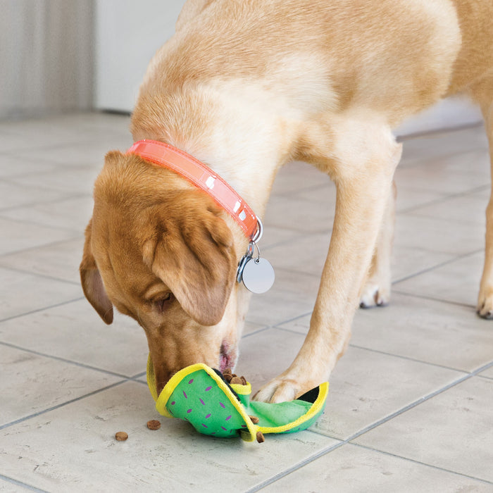 KONG Ballistic Hide n' Treat [Sz:Medium Cl:Assorted]