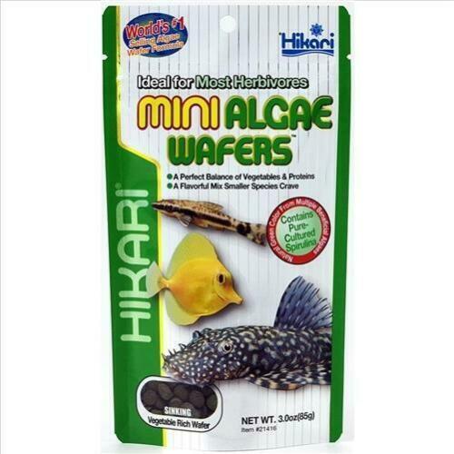 Hikari Algae Wafers Mini [Sz:85g]