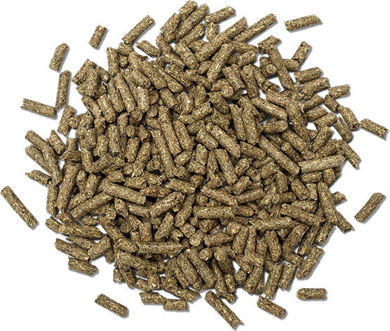 D&R Stockfeeds Rabbit Pellets [Sz:5kg]