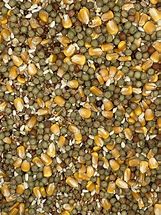 D&R Stockfeeds Pigeon Mix [Sz:1kg]