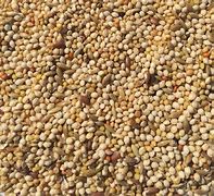 D&R Stockfeeds Finch Mix [Sz:1kg]