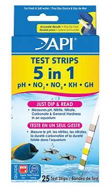 API 5 in 1 Test Strips [Sz:25pk]