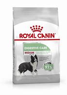 Royal Canin Medium Digestive Care Adult Dry Dog Food [Sz:3kg]