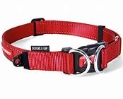 Ezydog Double Up Collar [Sz:Small Cl:Red]