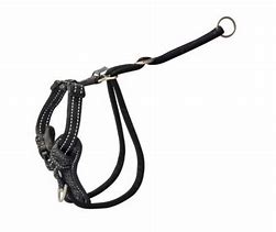 Rogz Stop Pull Back Harness Control [Sz:Medium Cl:Black]