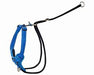 Rogz Stop Pull Back Harness Control [Sz:Medium Cl:Blue]