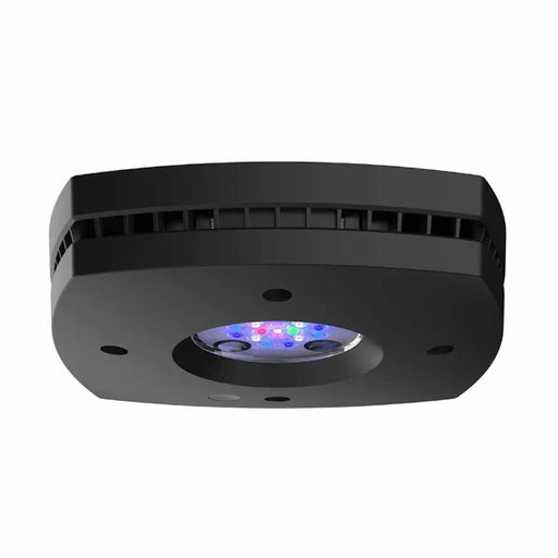 AQUA ILLUMINATION - PRIME HD LIGHT BLACK