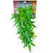 Get Your Pet Right Terrarium Plant Maple [Sz:20"]