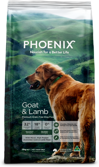 Phoenix Goat & Lamb Adult Dog Food [Sz:13kg]