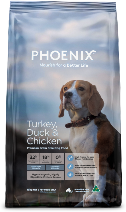 Phoenix Turkey,Duck & Chicken Adult Dog Food [Sz:13kg]