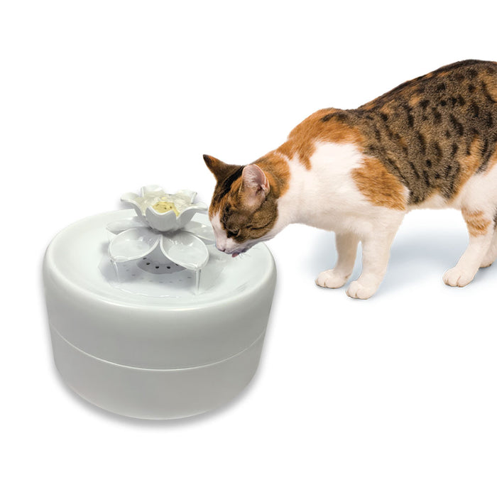 Pioneer Pet Magnolia Drinking Fountain [Sz:1.6L]