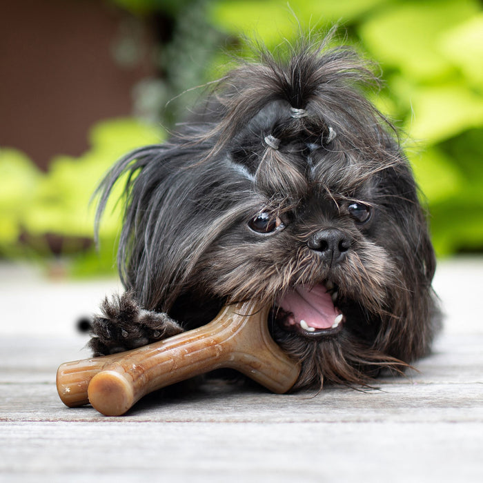 Benebone Bacon Stick [Sz:Small]