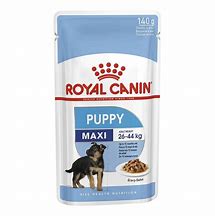 Royal Canin Maxi Puppy Wet Dog Food Pouches Macarthur Pets