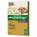 Advantage Large Cat Over 4kg [Sz:4pk Cl:Purple]