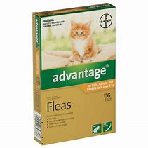 Advantage Kitten and Small Cat 0-4kg [Sz:6pk Cl:Orange]