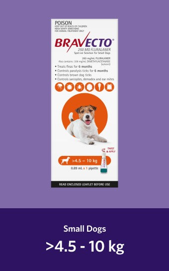 Bravecto Spot On Small Dog 4.5-10kg [Sz:1pk Cl:Orange]