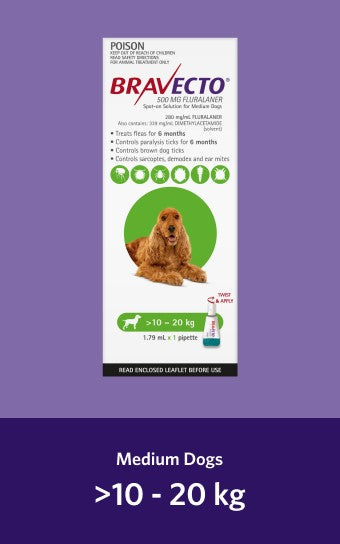 Bravecto Spot On Medium Dog 10-20kg [Sz:1pk Cl:Green]