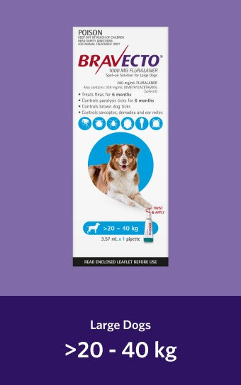 Bravecto Spot On Large Dog 20-40kg [Sz:1pk Cl:Blue]