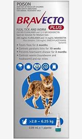 Bravecto Plus Spot On Medium Cat 2.8-6.25kg [Sz:1pk Cl:Blue]