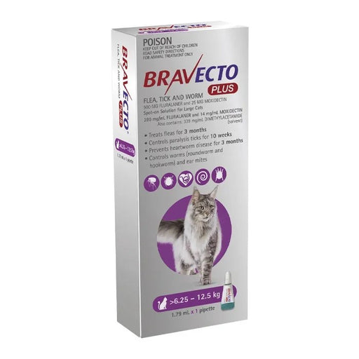 Bravecto Plus Spot on Large Cat 6.25-12.5kg [Sz:1pk Cl:Purple]