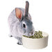 Pet One Melamine Bowls [Sz:Small]