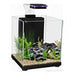 Aqua One Betta Sanctuary [Sz:10L Cl:Black]