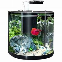 Aqua one BT 10 Betta Glass Aquarium [Sz:10L 25.5W x 21D x 26H Cl:Black]