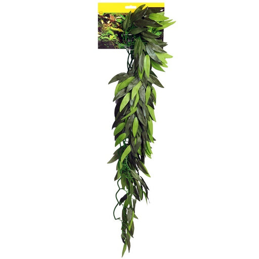 REPTILE ONE - PLANT CASCADING TRADESCANTIA LARGE