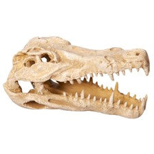 Aqua One Ornament Crocodile Skull [Sz:11 X 23 X 14CM]