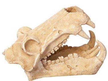 Aqua One Ornament Hippo Skull [Sz:11 X 18.5 X 13CM]