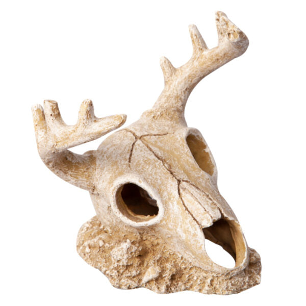 Aqua One Ornament Deer Skull [Sz:14.5 X 13.5 X 15.5CM]