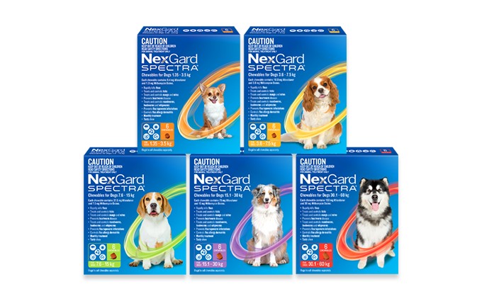 Nexgard Dog Spectra [Sz:6pk Cl:Red]