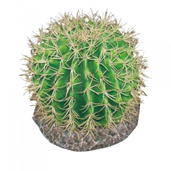 Eco Tech Pinapple Cactus