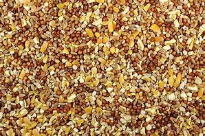 D&R Stockfeeds Chicken Scratch Mix [Sz:5kg]