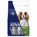 Advance Dry Dog Food Healthy Weight Small Breed Chicken [Sz:2.5kg]