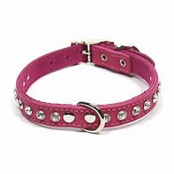 Dogue Glamour Collar [Sz:35cm Cl:Fuchsia]