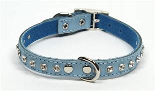 Dogue Glamour Collar [Sz:45cm Cl:Blue]