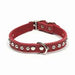 Dogue Glamour Collar [Sz:35cm Cl:Red]