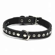 Dogue Glamour Collar [Sz:45cm Cl:Black]