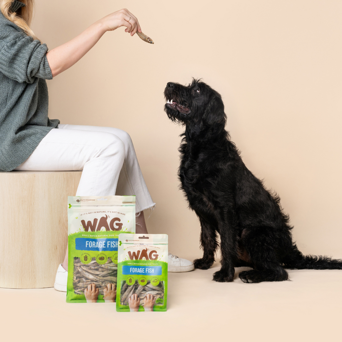 Wag Forage Fish [Sz:200g]