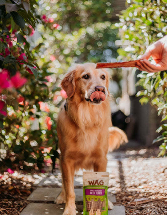 Wag Beef Jerky [Sz:750g]