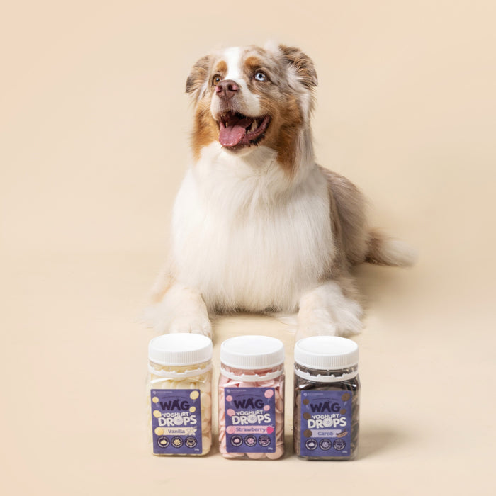 WAG Strawberry Yoghurt Drops [Sz:250g]