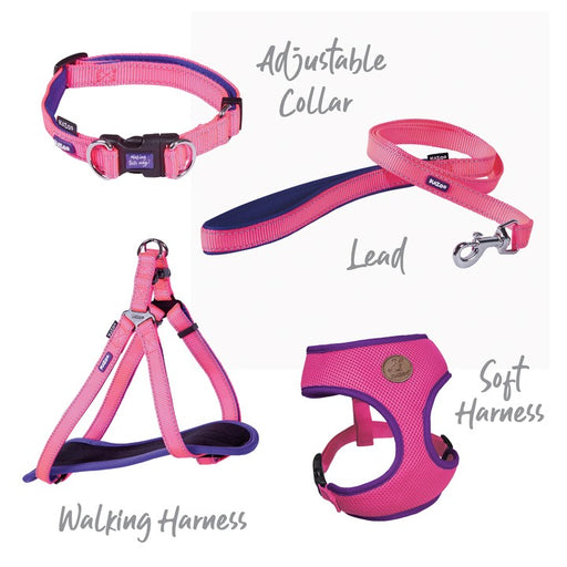 Kazoo Active Adjustable Collar [Sz:Extra Large Cl:Bloom Burst]