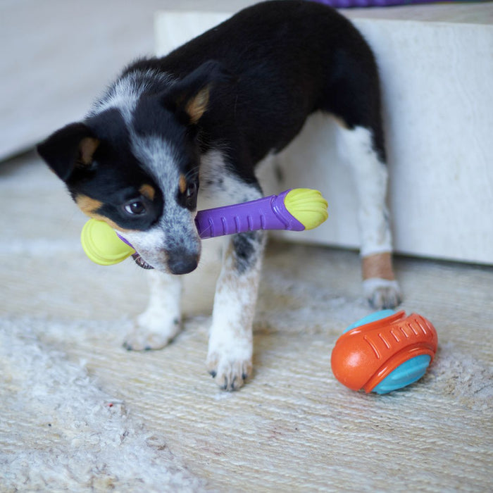 Kazoo Extreme Play Chew Stick Medium [Sz:Medium]