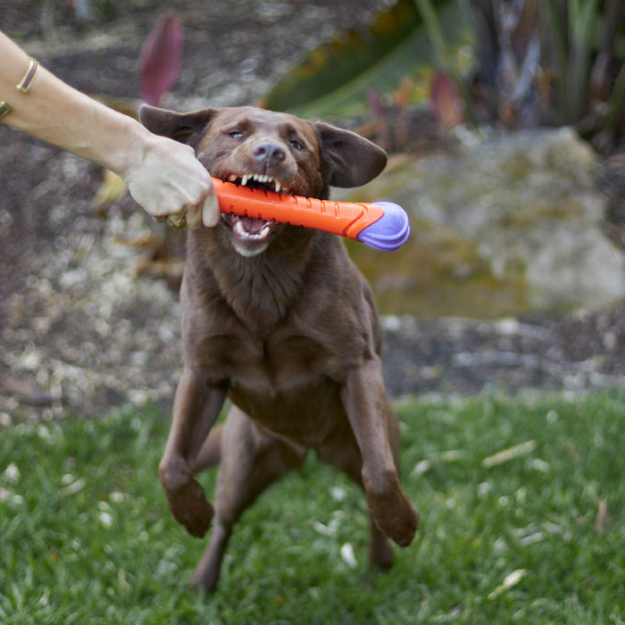 Kazoo Extreme Play Chew Stick Large [Sz:Large]