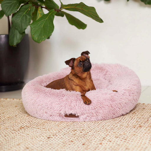 Kazoo Peacock Dog Bed [Sz:Medium Cl:Rose]